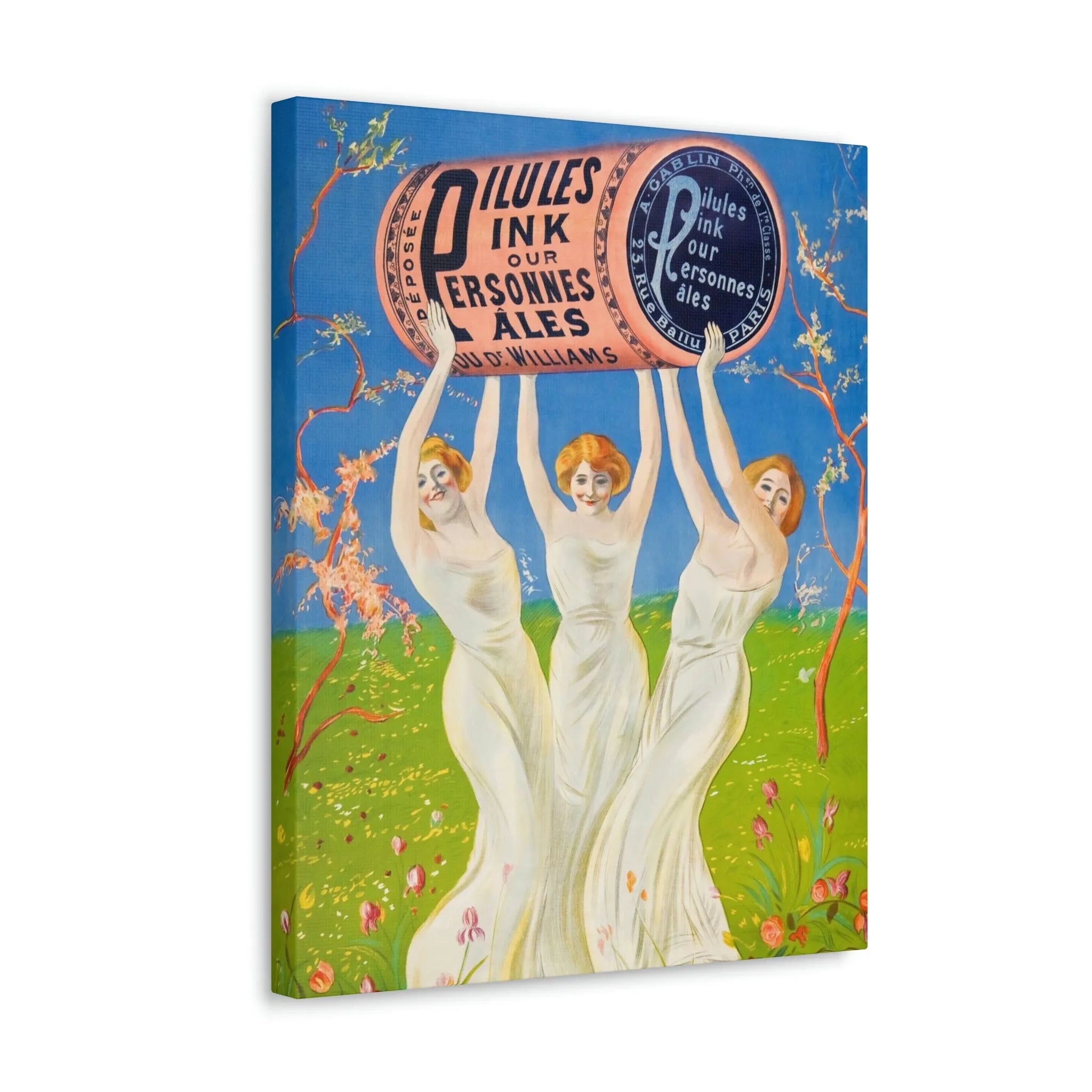 Pink Pills for Pale People Canvas Gallery Wraps