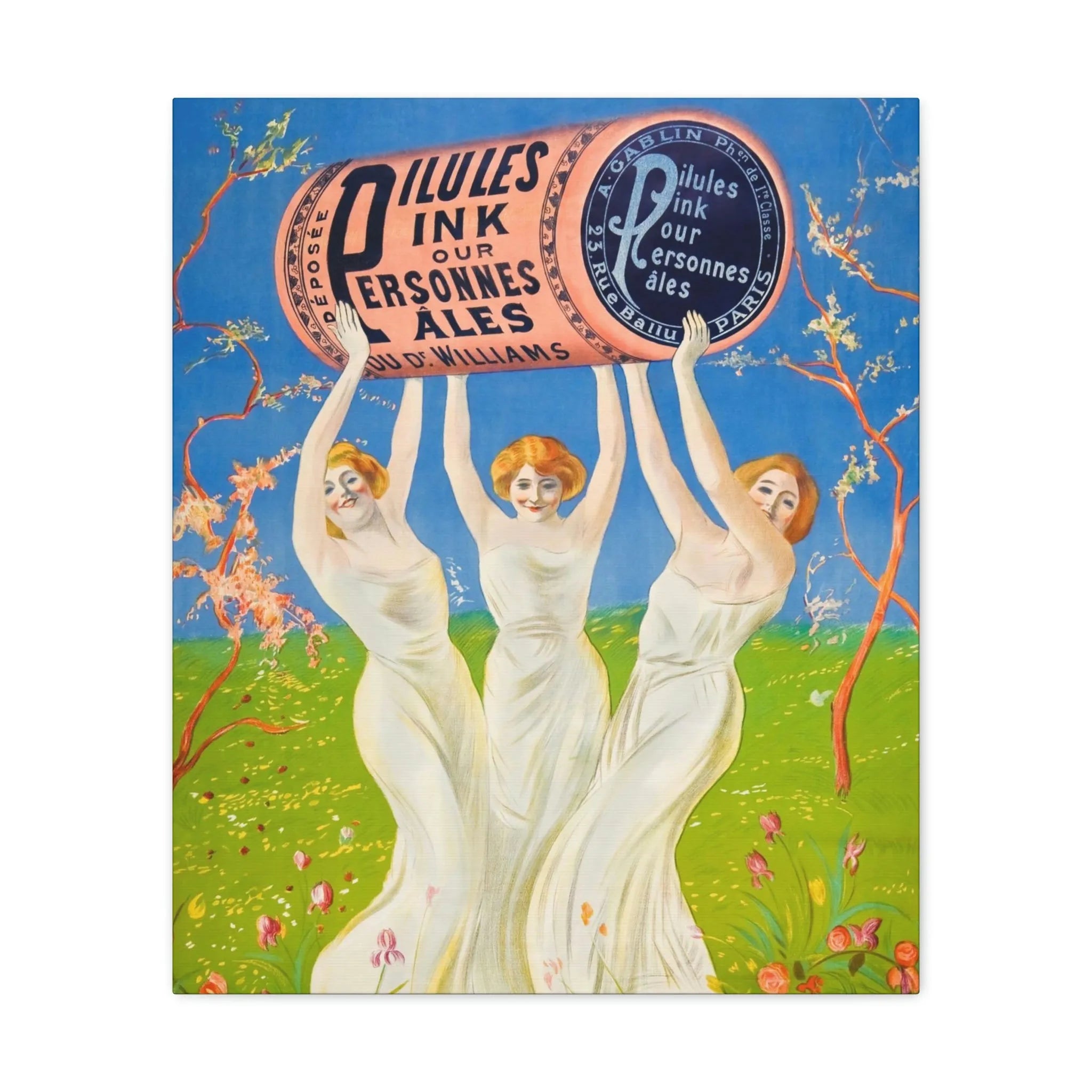 Pink Pills for Pale People Canvas Gallery Wraps