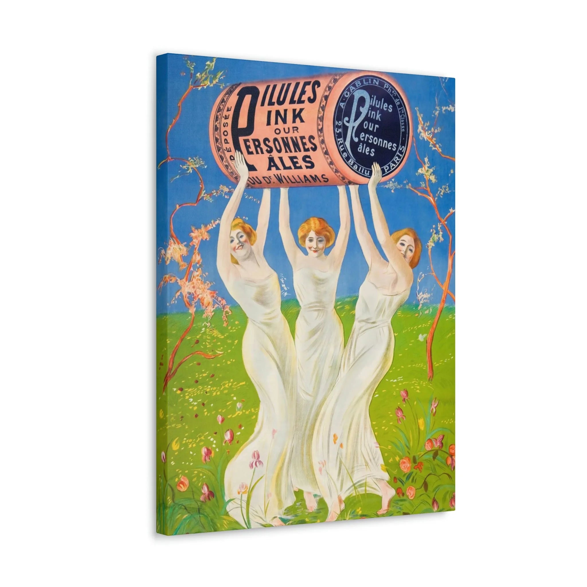 Pink Pills for Pale People Canvas Gallery Wraps