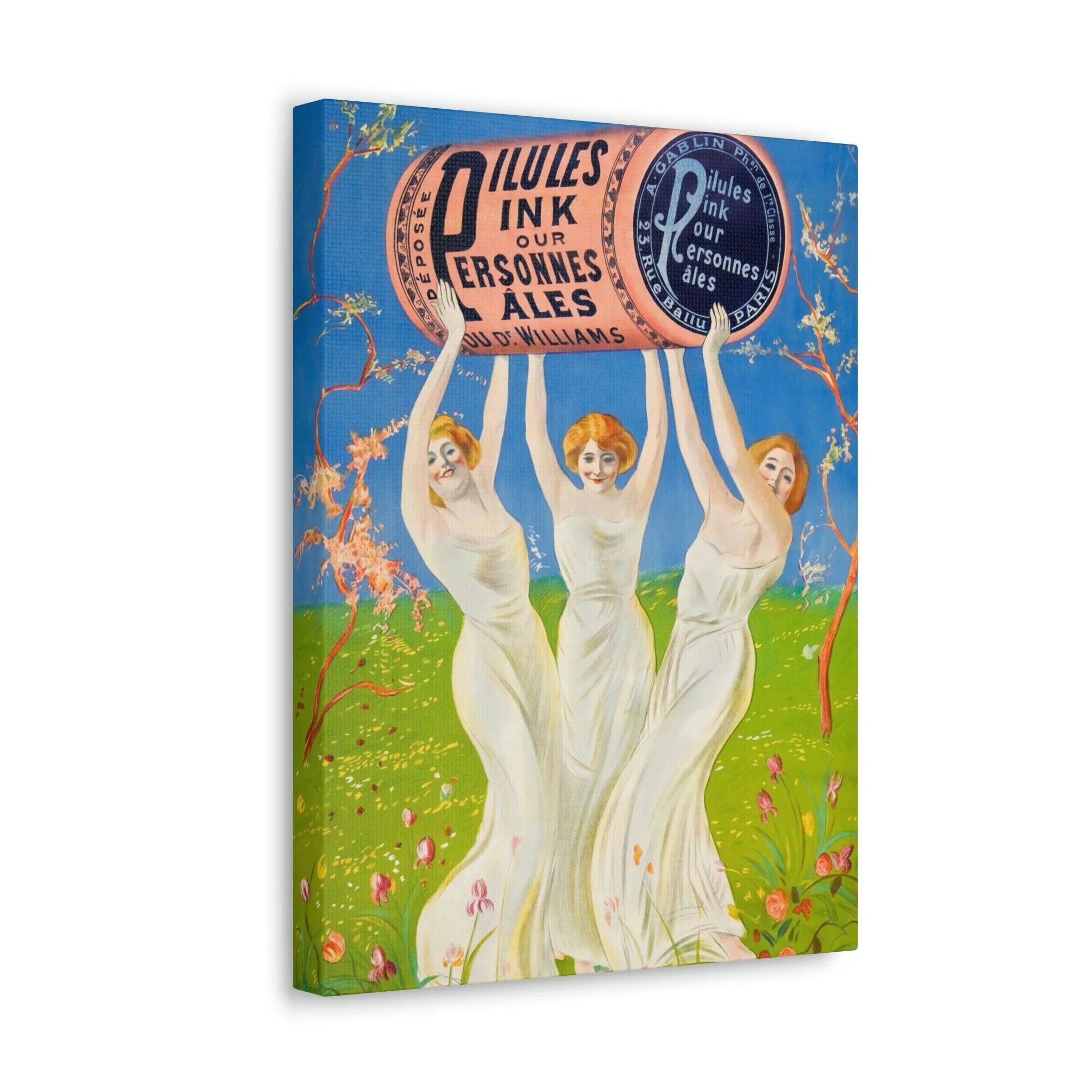 Pink Pills for Pale People Canvas Gallery Wraps