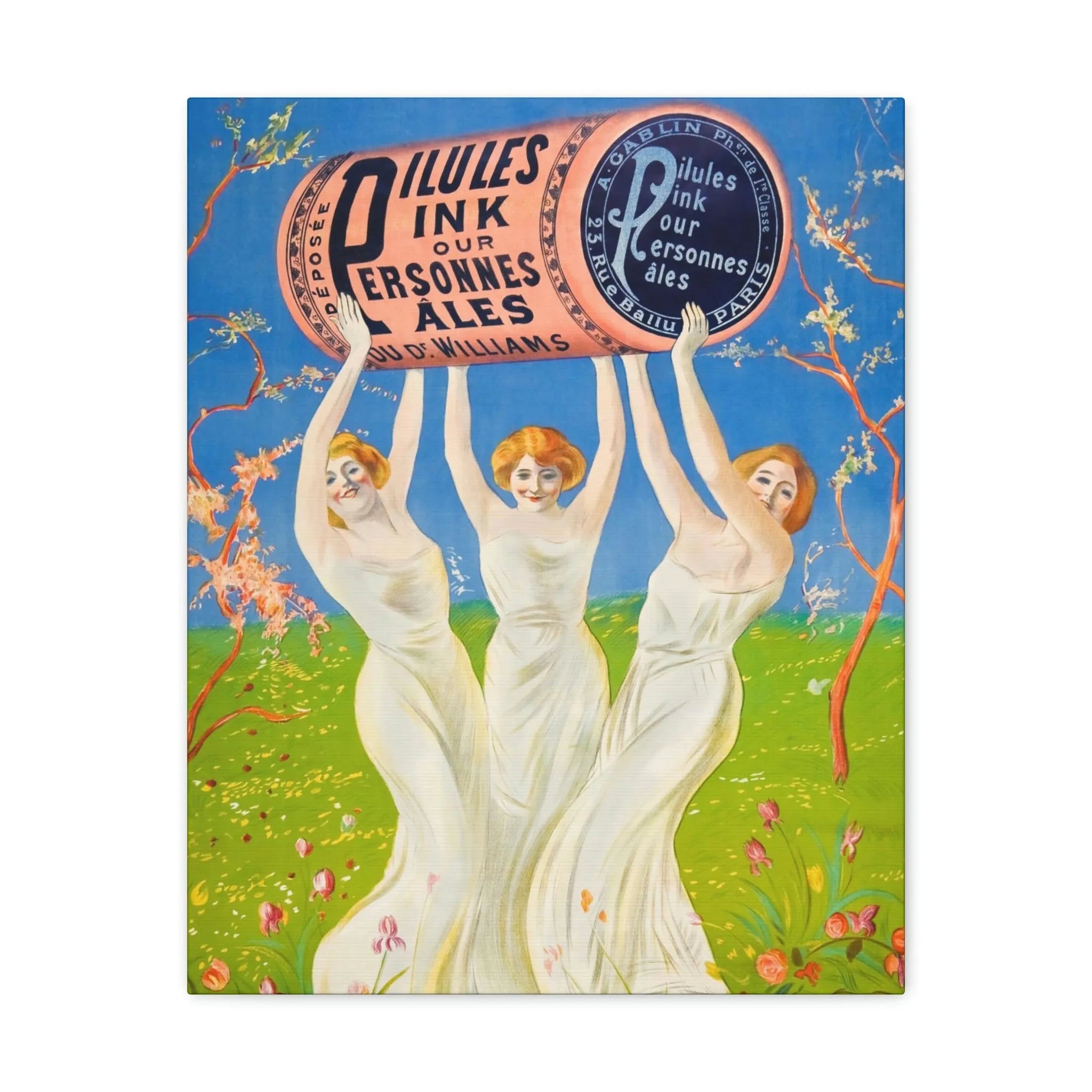 Pink Pills for Pale People Canvas Gallery Wraps