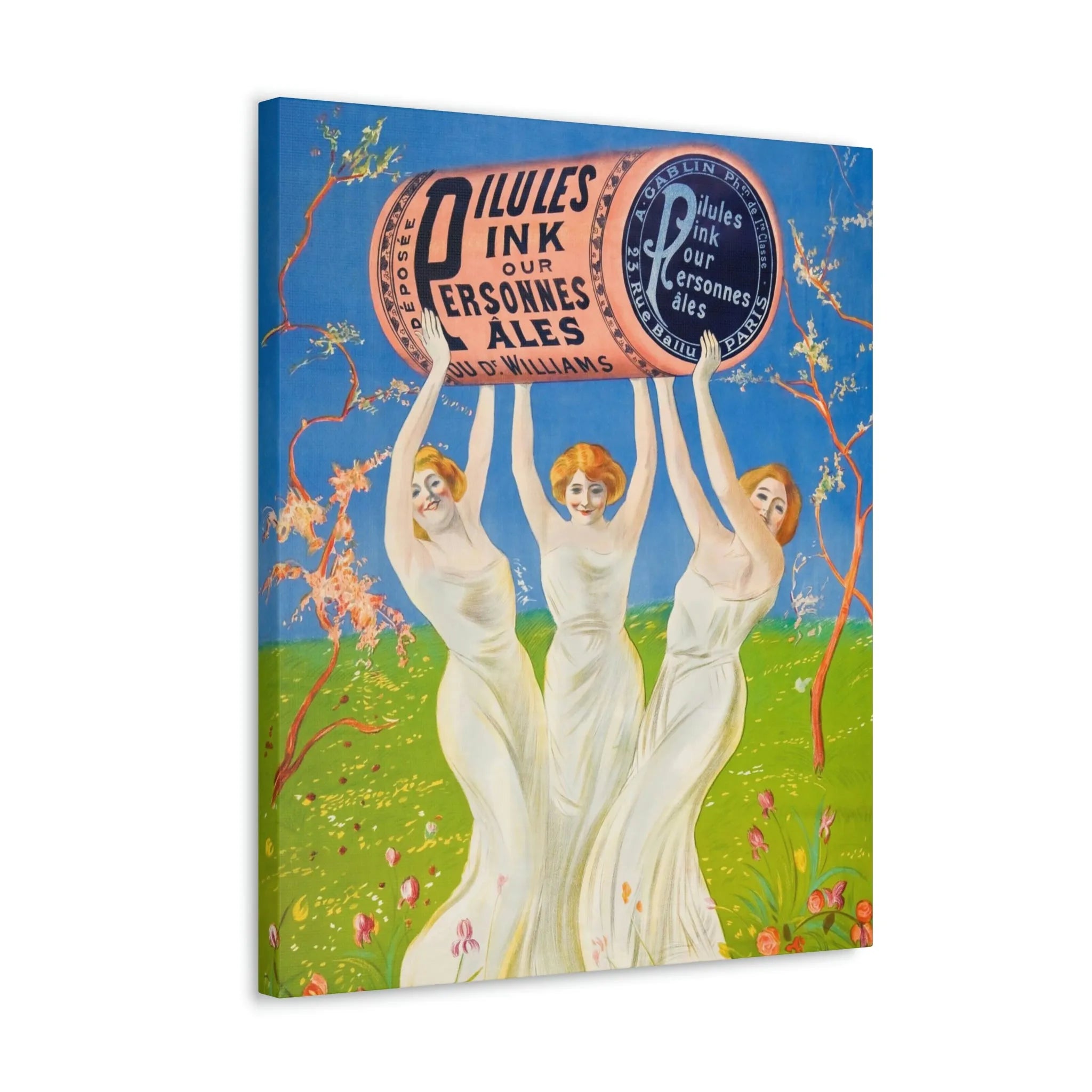 Pink Pills for Pale People Canvas Gallery Wraps