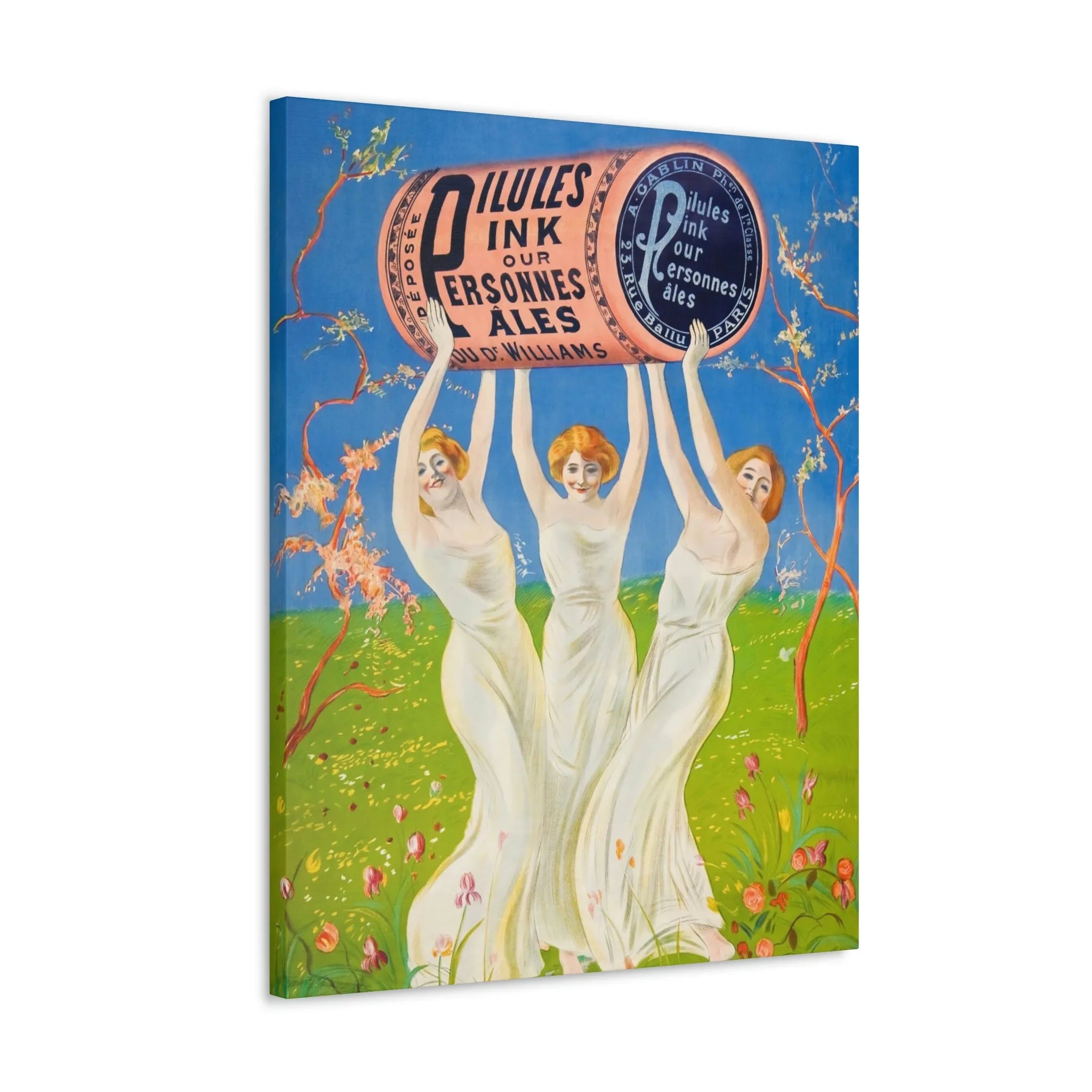 Pink Pills for Pale People Canvas Gallery Wraps