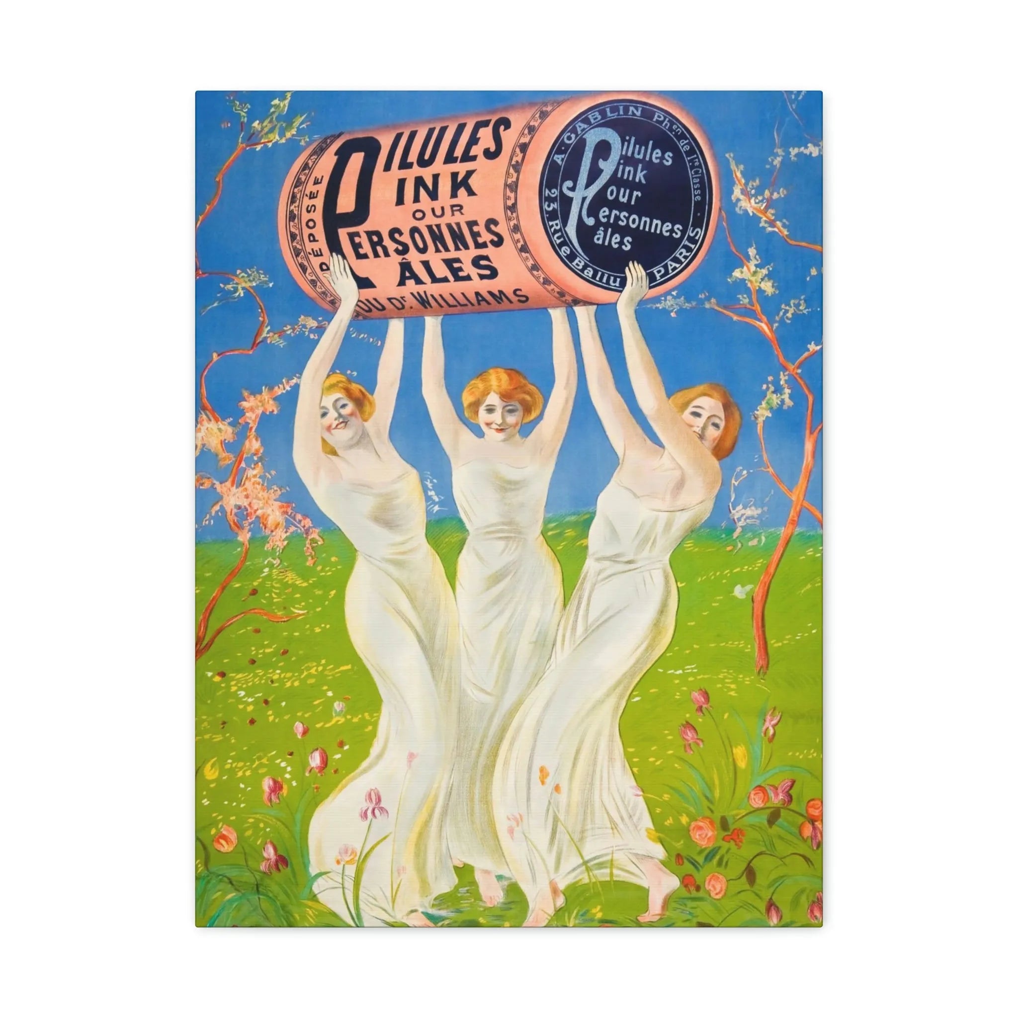 Pink Pills for Pale People Canvas Gallery Wraps