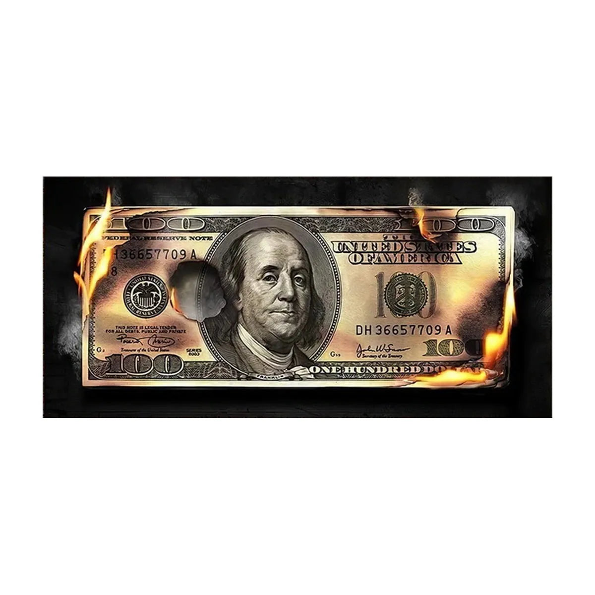 Burning Dollar Cash Money Canvas Painting Print Wall Art