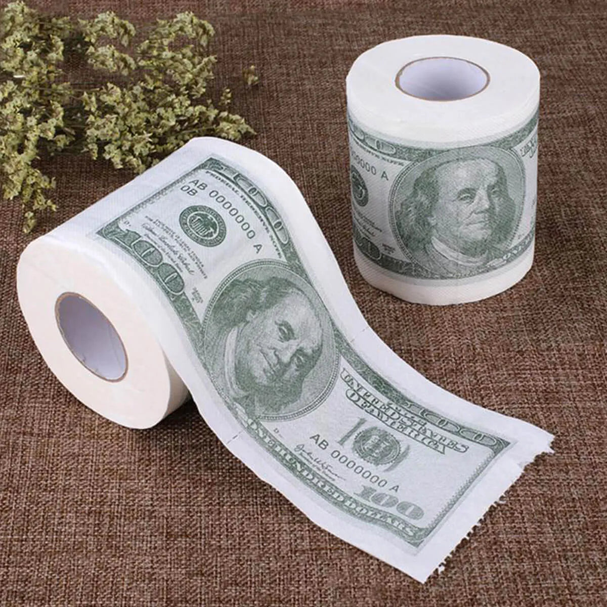 Cash Money Toilet Paper $100 Bill Toilet Paper