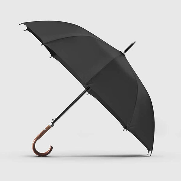 Luxury Long Automatic Umbrella for Gentlemans