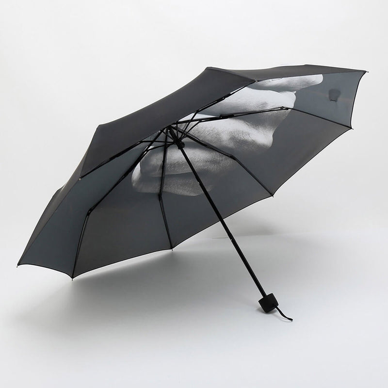 Middle Finger Funny Umbrella Rain Cool Windproof Folding Parasol