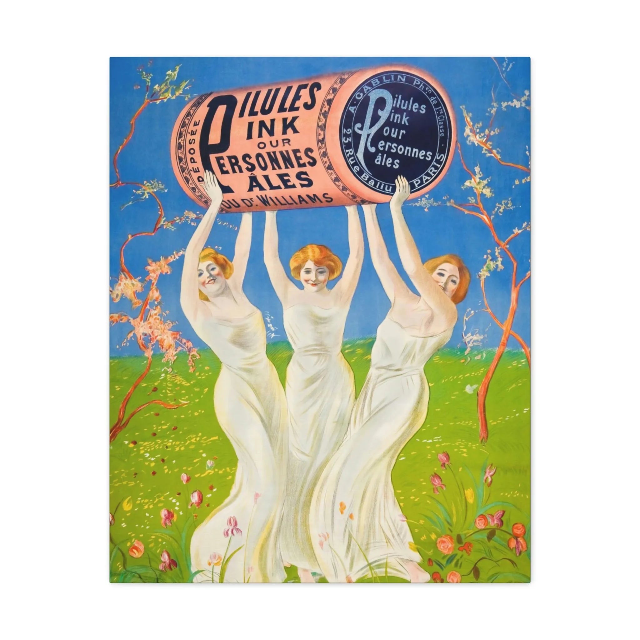 Pink Pills for Pale People Canvas Gallery Wraps