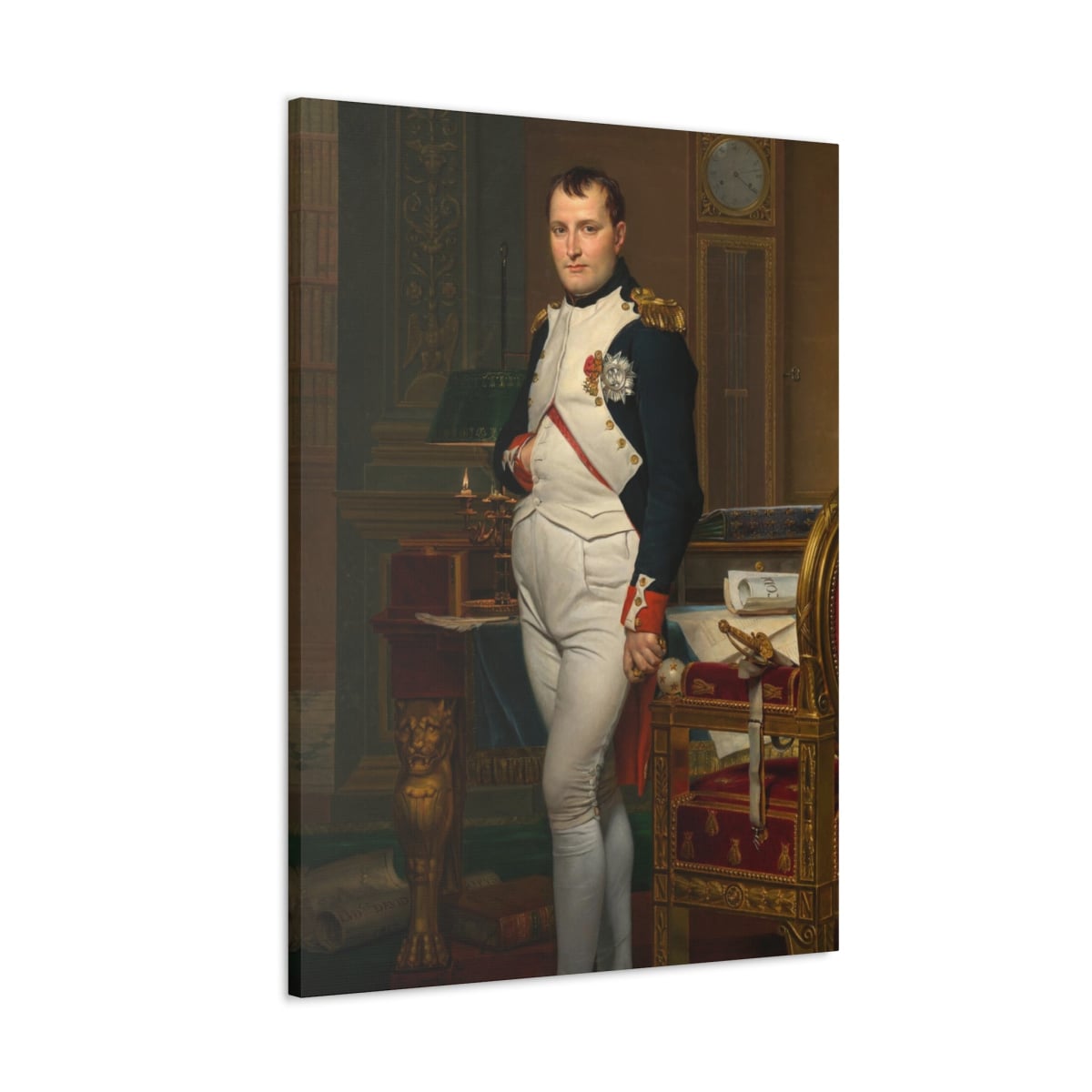 Discover History: Emperor Napoleon Canvas Gallery Wrap