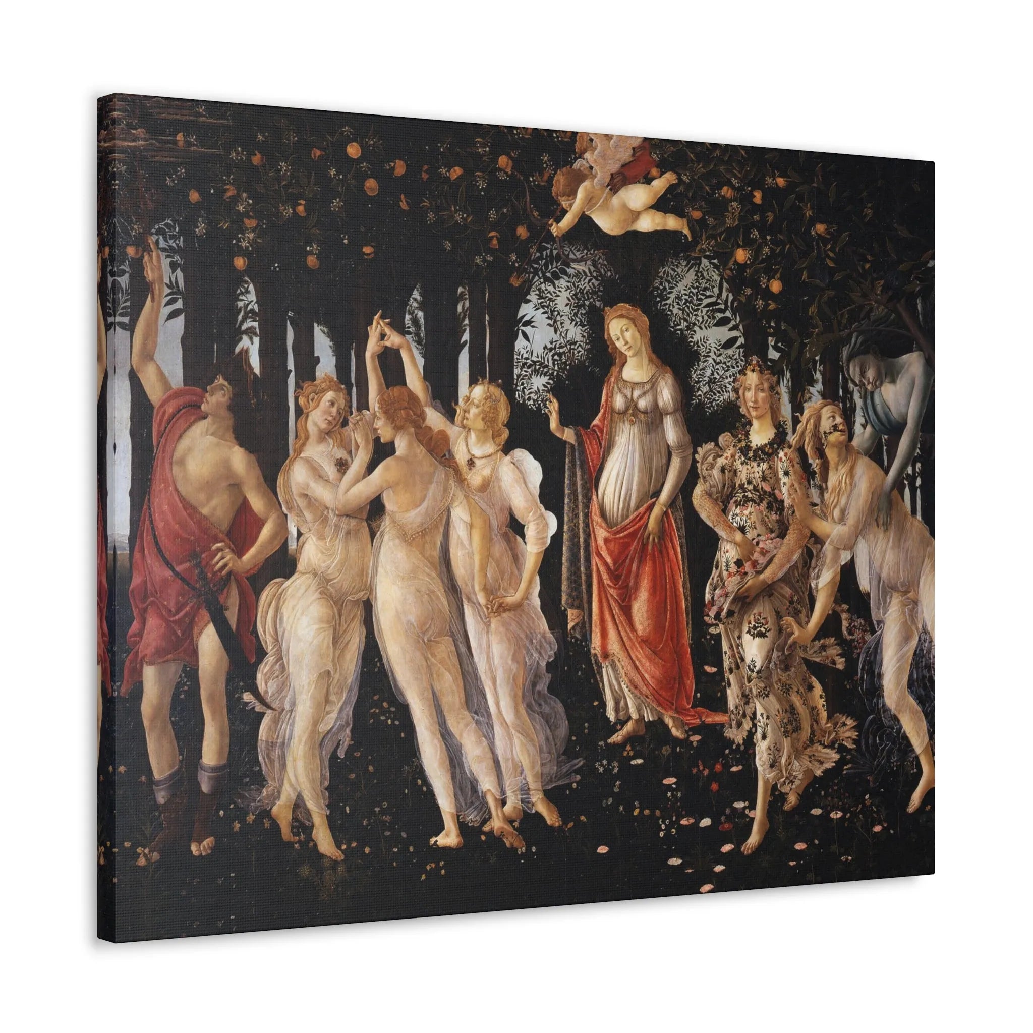 Discover Elegance with Primavera Canvas Wraps by Botticelli