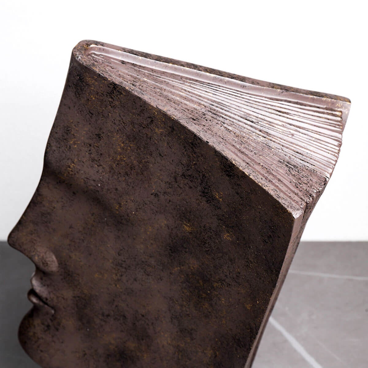 Book Face Figures Resin Abstract Art Sculpture