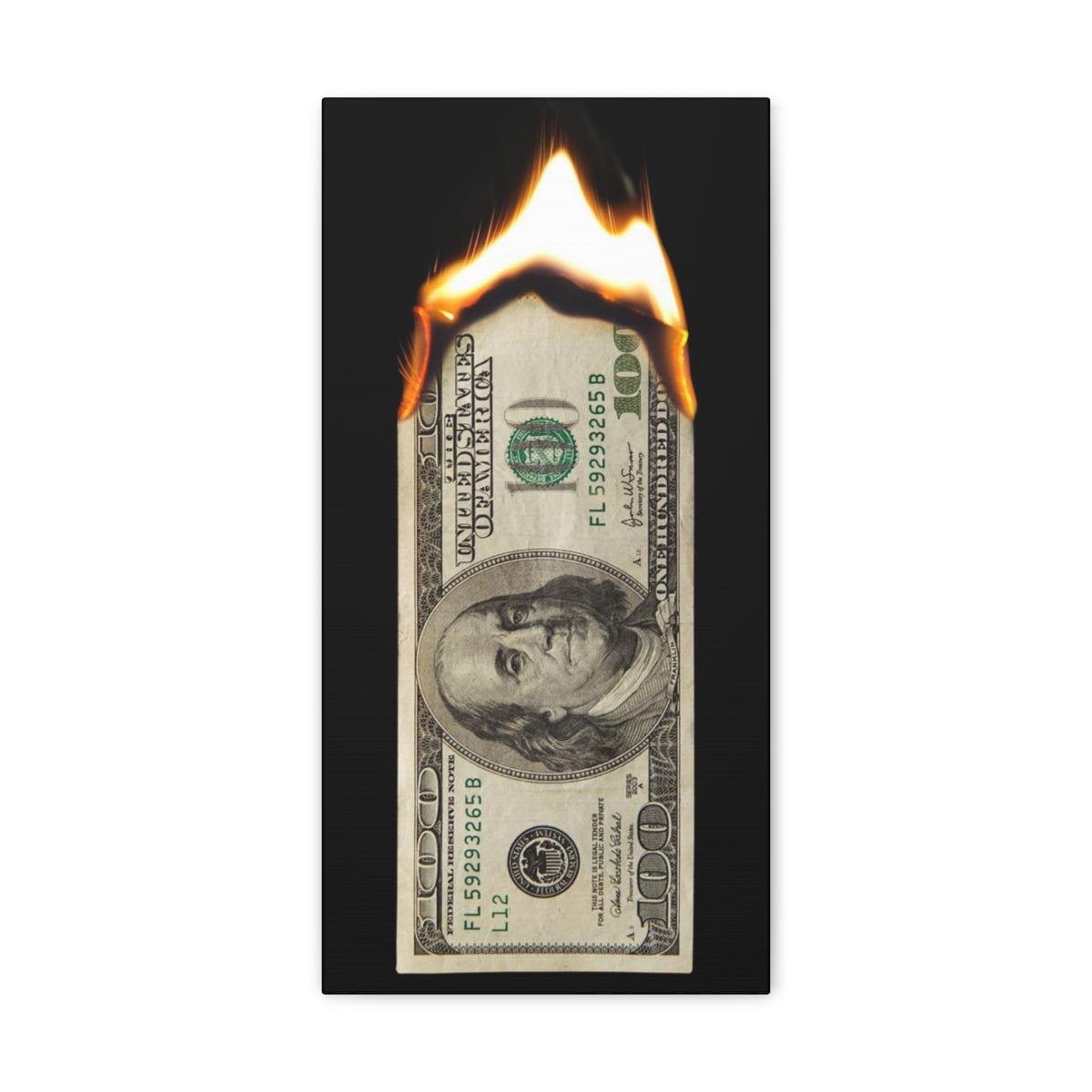 Burning Dollar Cash Money Canvas Gallery Wraps
