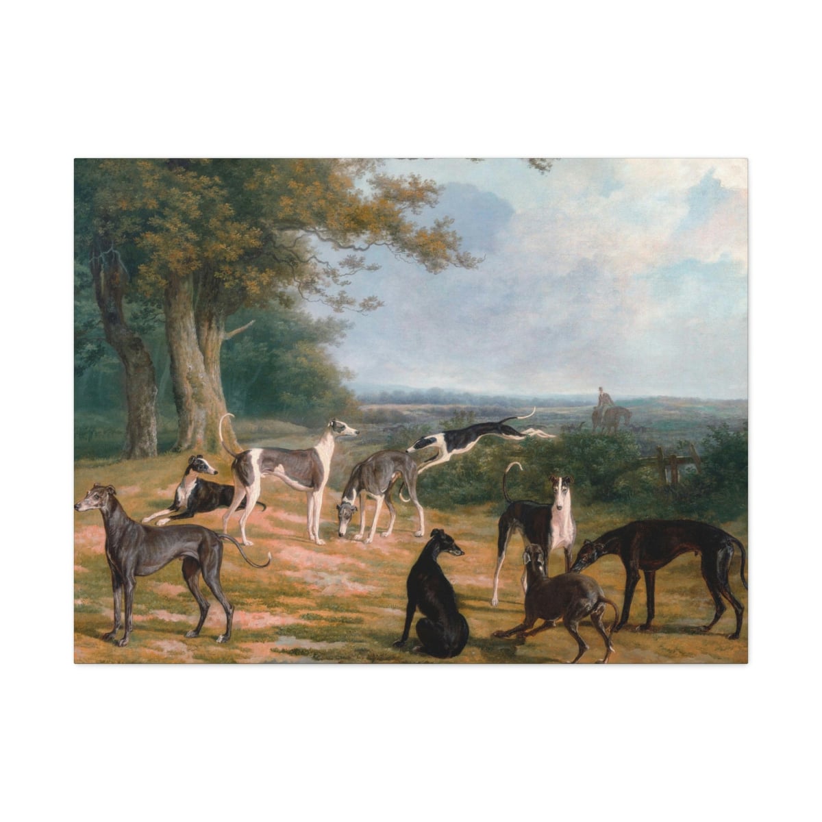 Nine Greyhounds in a Landscape Painting Canvas Gallery Wraps
