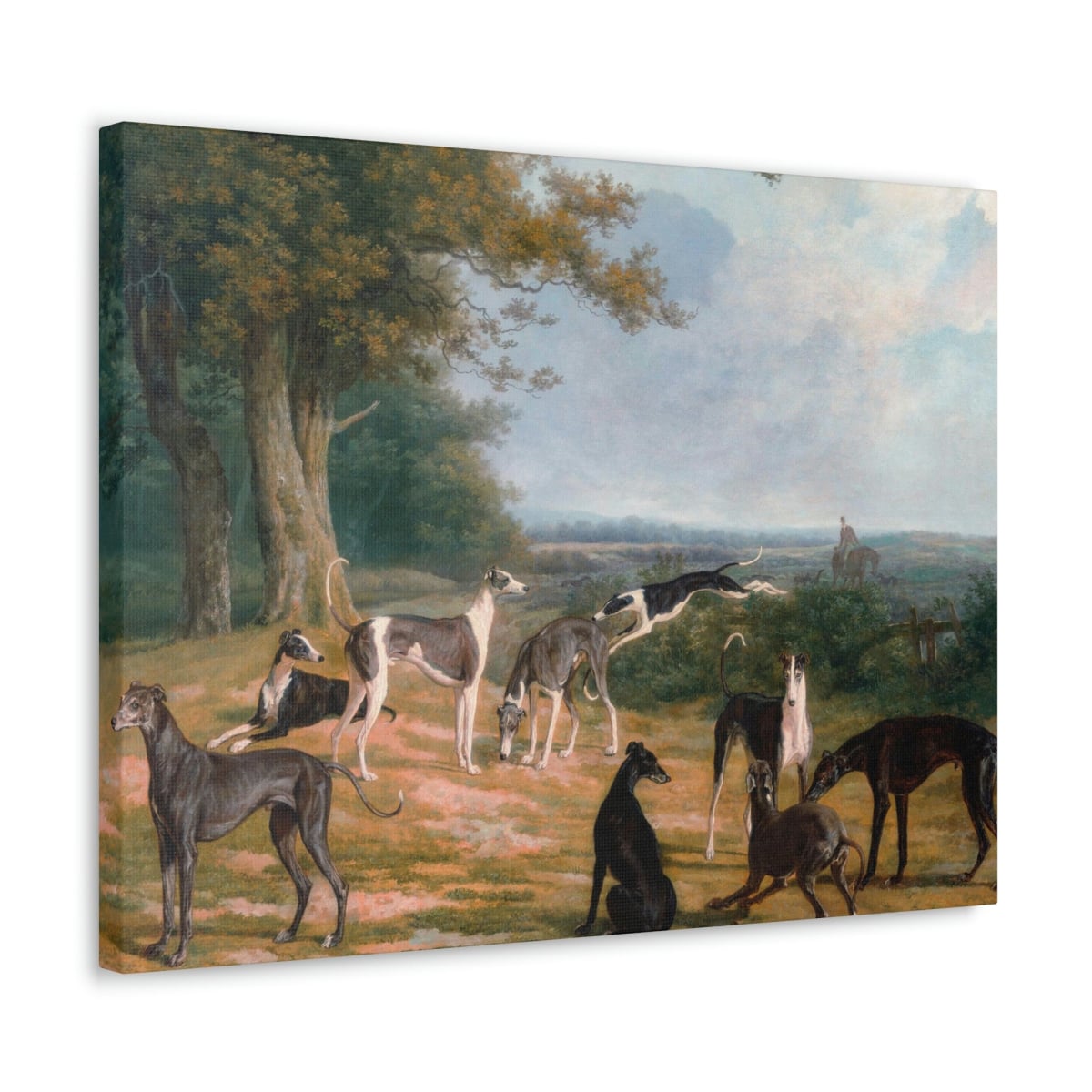 Nine Greyhounds in a Landscape Painting Canvas Gallery Wraps