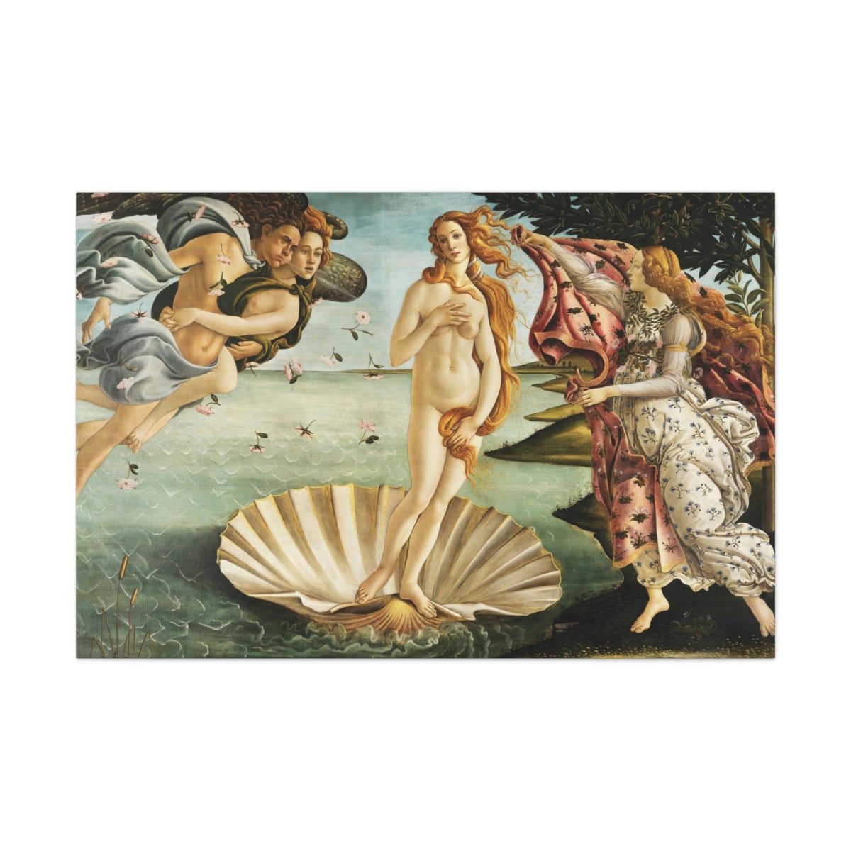 The Birth of Venus Sandro Botticelli Canvas Gallery Wraps