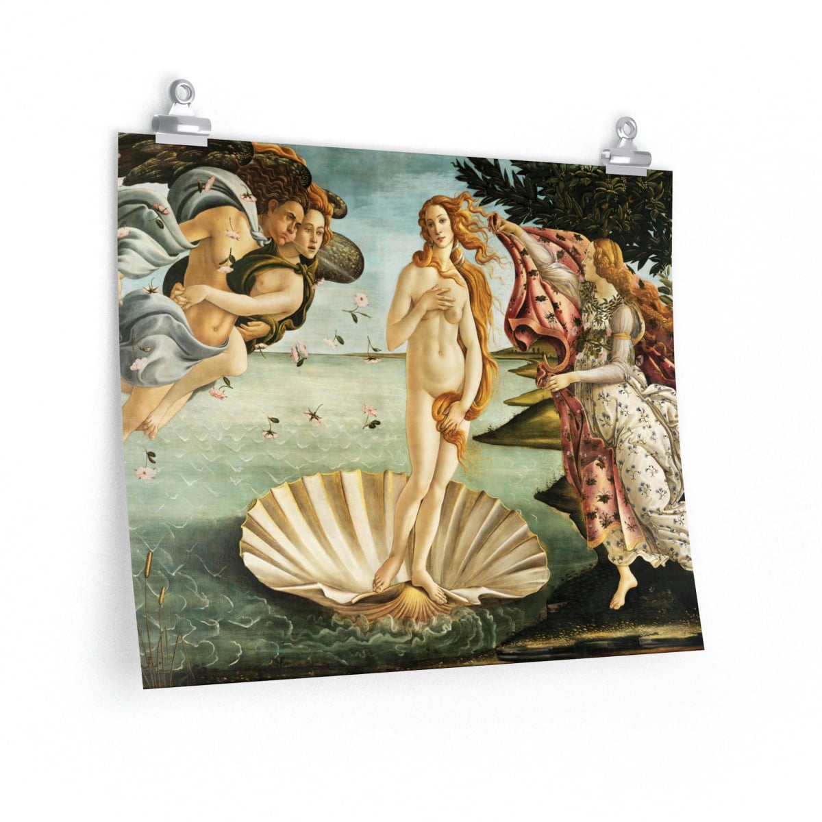 The Birth of Venus Sandro Botticelli Premium Posters